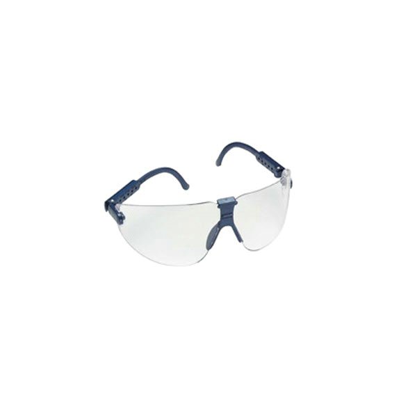 GLASSES,LEXA,MEDIUM/CLEAR 10/BX - Clear Lens